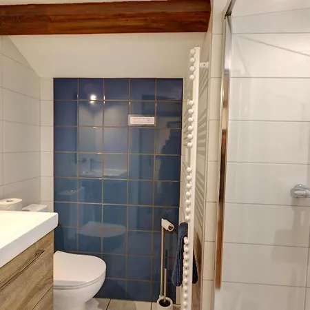Familial Confort Avec Jardin, Salle De Jeux, Garage Et Terrasse, Pres De Saint-etienne - Fr-1-496-204 *